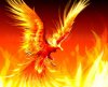cool-fire-picturesphoenix-beauty-bird-cool-fire-legend-phoenix-warm---free-download-8cwlz0ta.jpg